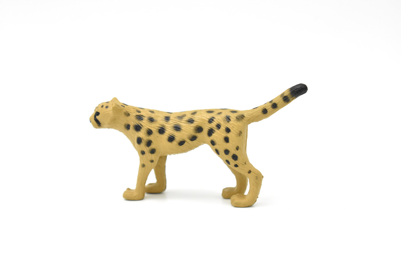 Cheetah Cub, ~ Plastic Replica 3