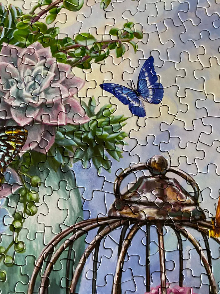 Springbok 500ピース ジグソーパズル バタフライフレンジー 蝶々