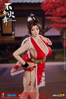 Ninja Cat N001 スーパー女性格闘家舞 1/6スケール Ninja Cat 1/6