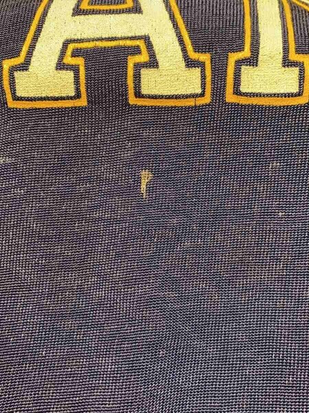 Champion(チャンピオン) / 80s/トリコタグ/NOTRE DAME/フットボールTee