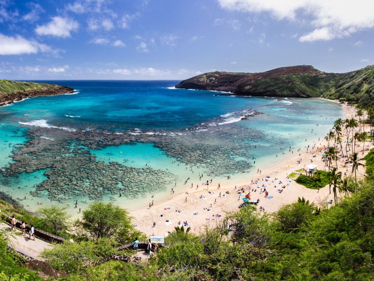 ハナウマ湾シャトルサービス シュノーケリングセットレンタル付き