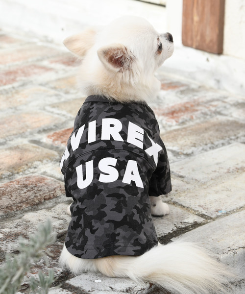 AVIREX | AVIREX/アヴィレックス/ビッグロゴティー/犬服(ドッグウェア