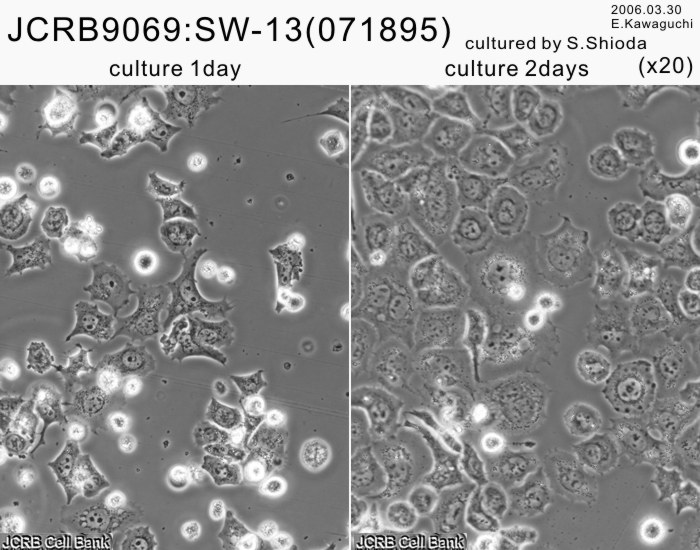 Detailed Information [JCRB9069]-