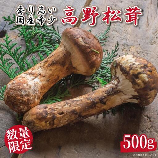 北海道松茸500g 訳あり