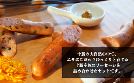 十勝の3種ソーセージセット SKD001 【 ふるさと納税 人気 おすすめ