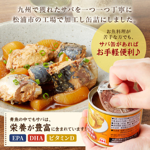 さば味噌煮缶セット(12缶)( 保存食 非常食 防災 備蓄 長期保存 )【B2