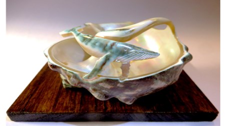 夜光貝 まとめ5個セット サイズ11-12cm 夜光貝 まとめ5個セット サイズ