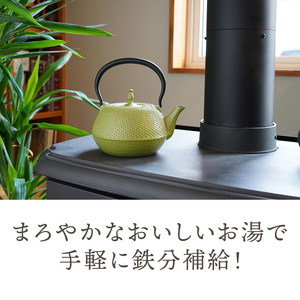 未使用品、タグ付 南部三厳堂造 20型アラレ 南部鉄瓶 南部