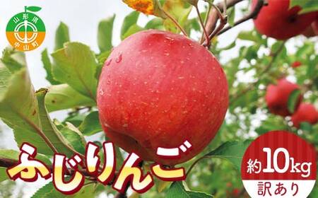 令和8年産 山形県産 サンふじりんご＜訳あり＞ 10kg 32玉～56玉 数量