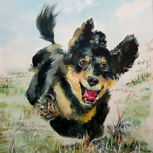 飛行犬の水彩画 – アポロパパのお仕事日記