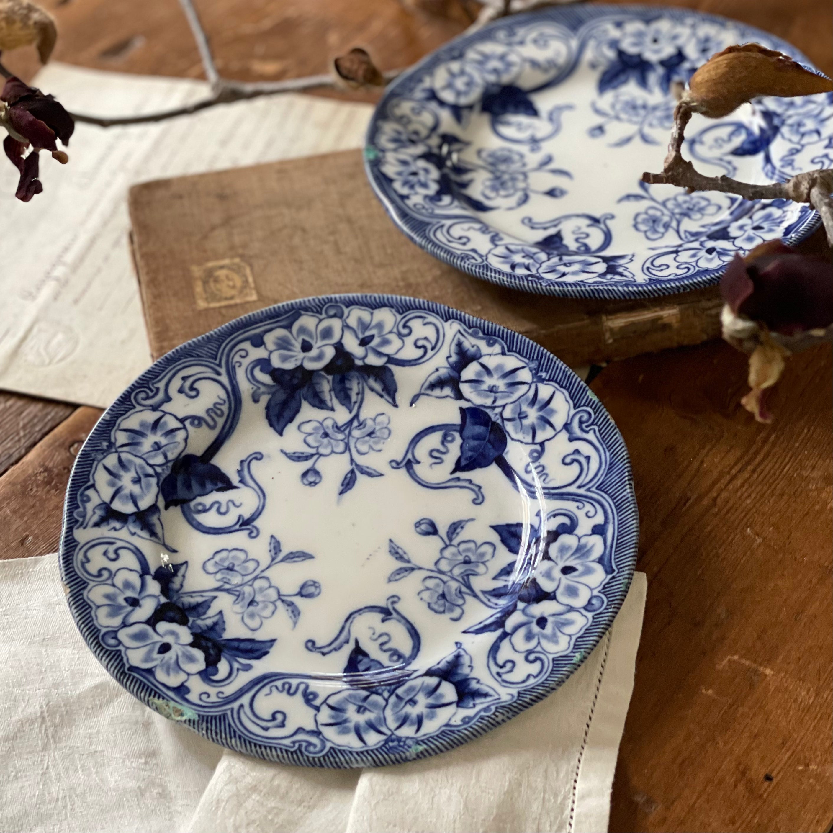 南仏陶器 キュノワールのようなオーバル皿 南仏陶器 キュノワールの