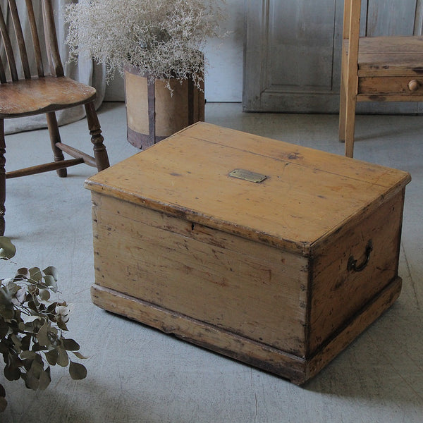 IMG_5132_grande.jpg?v=1724575395