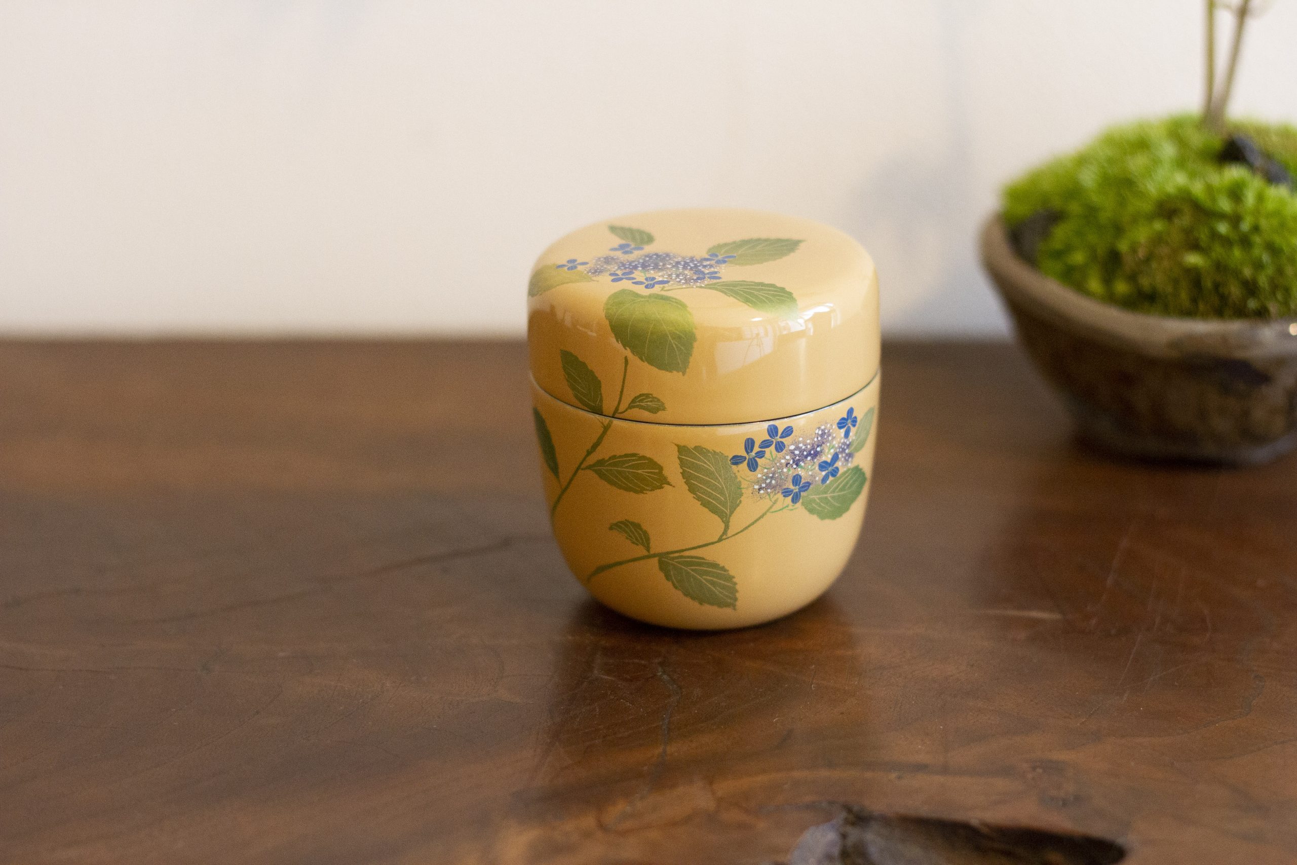 茶道具中出松峰作雪付花蒔絵螺鈿装飾中棗共箱仕覆付V6282