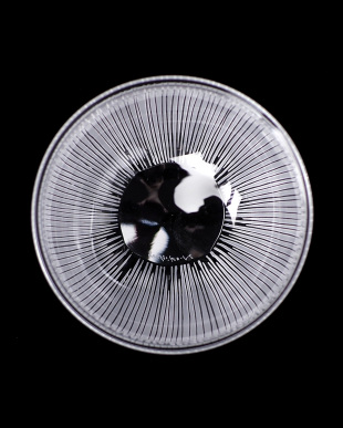 新田佳子 SEN小鉢