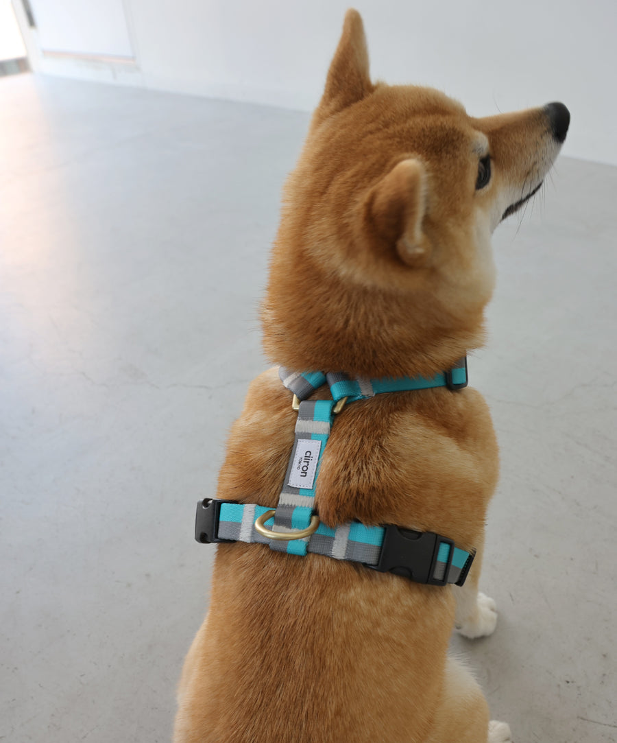 ハーネス Serene – ciiron tokyo