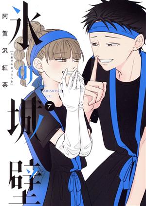 氷の城壁 全14巻セット 全巻セット) 氷の城壁 1～14巻 完結 阿賀沢紅茶