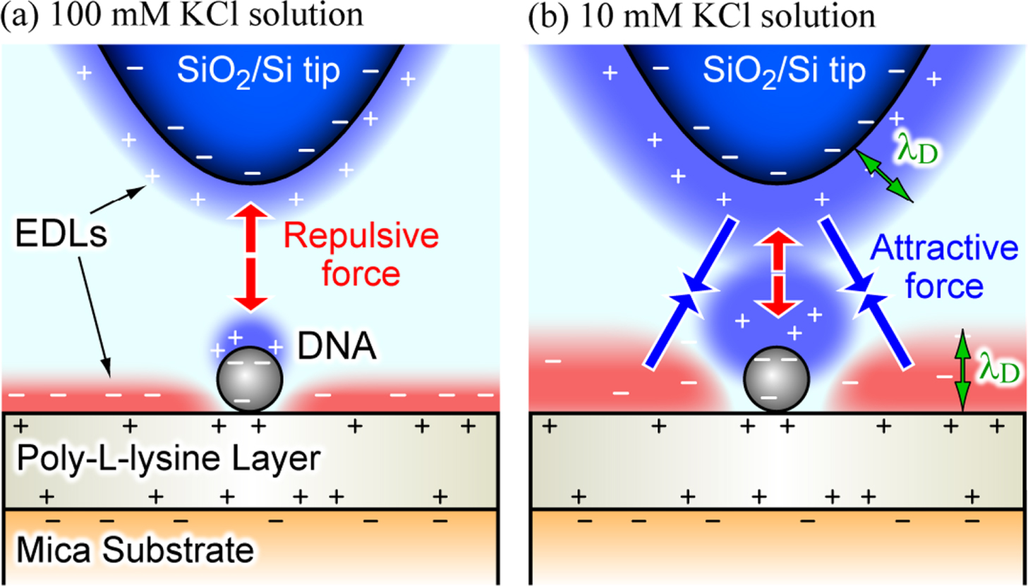 Molecular-scale quantitative charge density measurement of