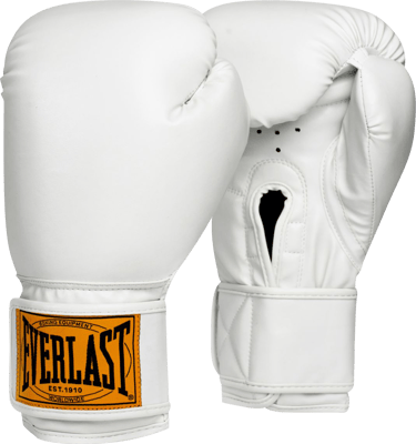 Everlast 1910 Classic Boxing Gloves | Dick's Sporting Goods