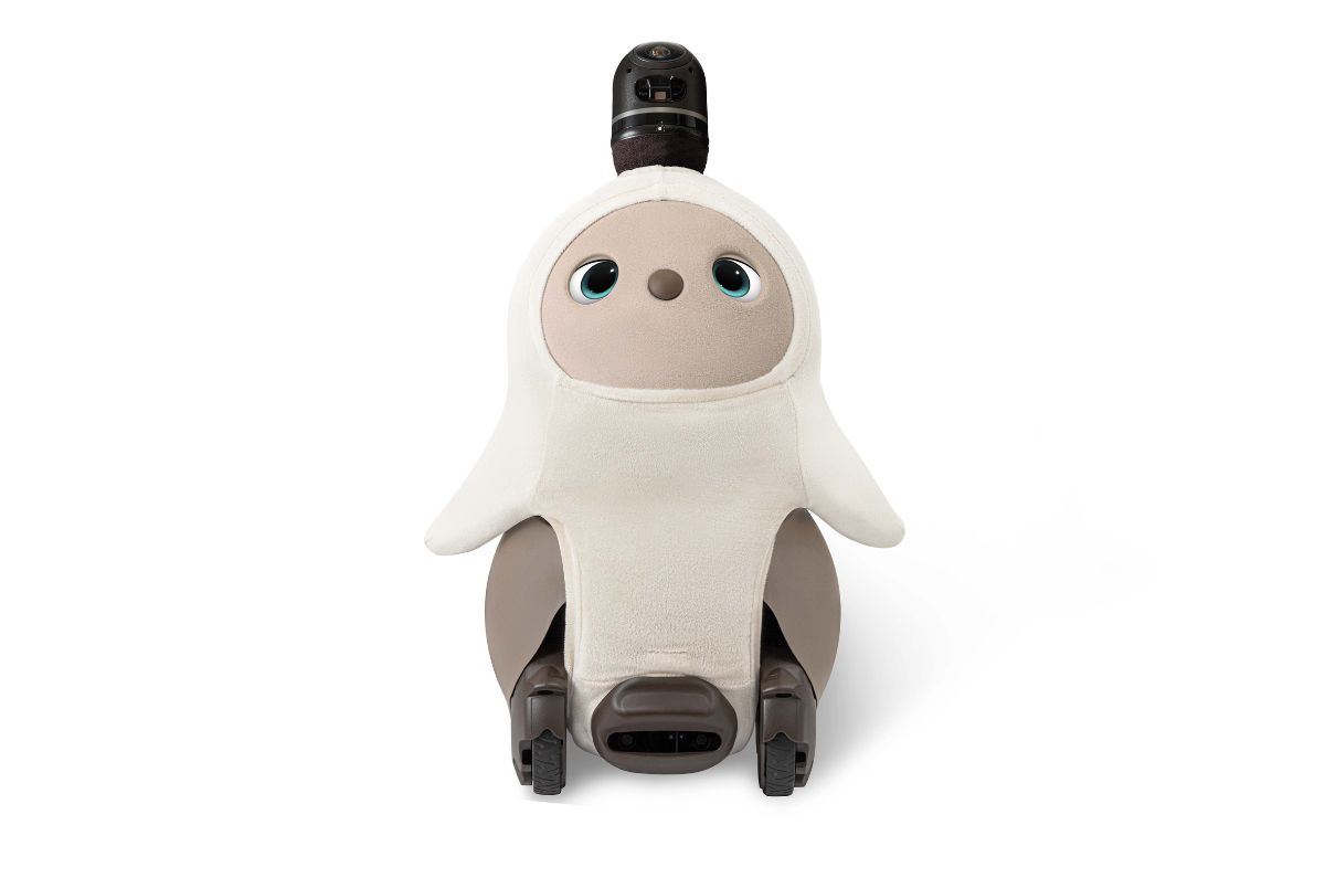 LOVOTラボット2.0本体&ネスト(ちゃ)、2023年12月購入、稼働約7か月