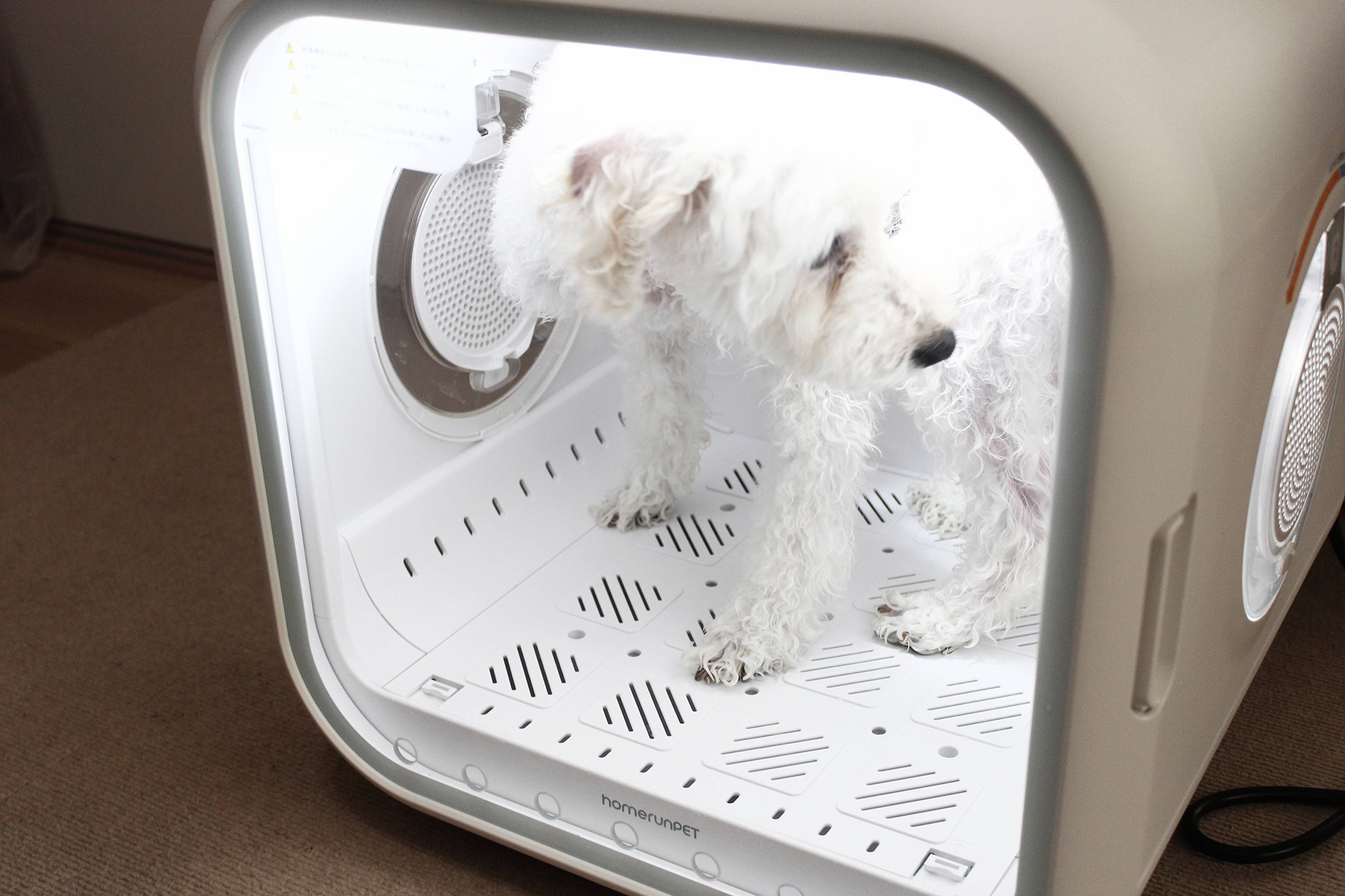 犬のドライヤーボックス「Drybo Plus」実機レビュー！使って分かった