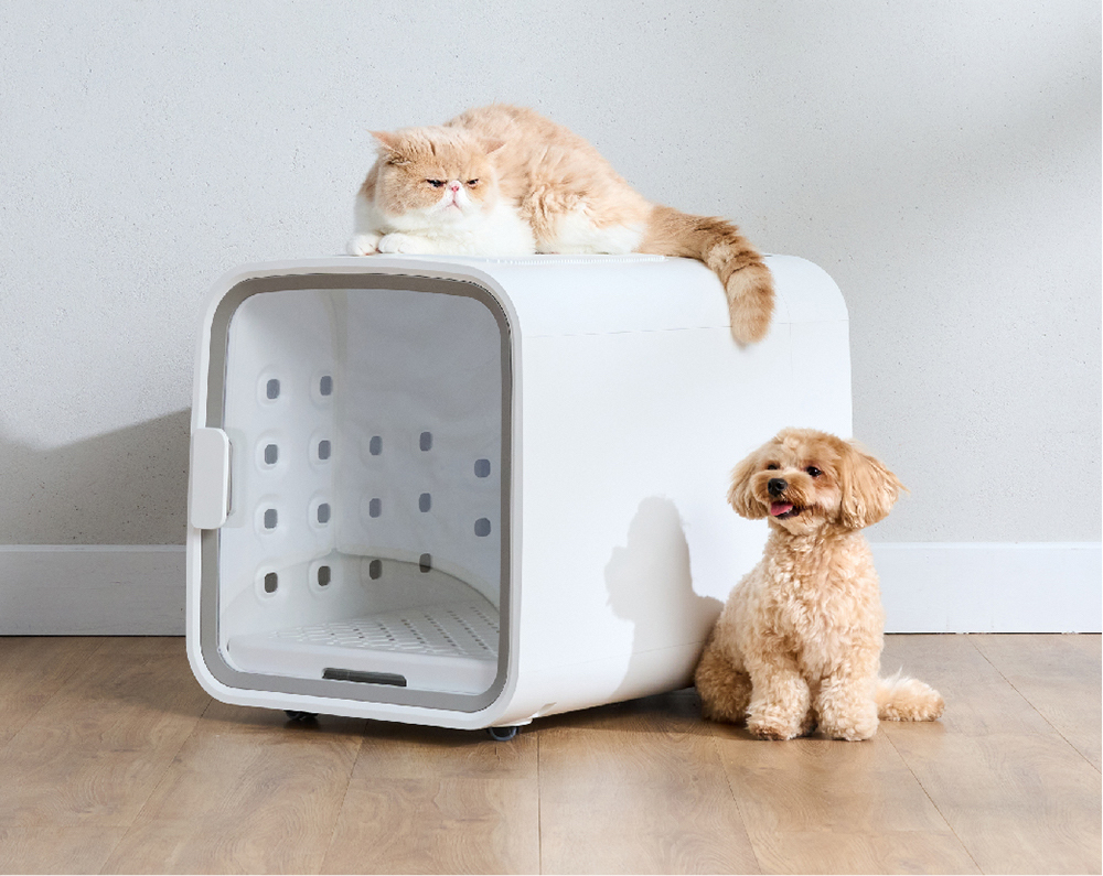 犬のドライヤーボックス「Drybo Plus」実機レビュー！使って分かった