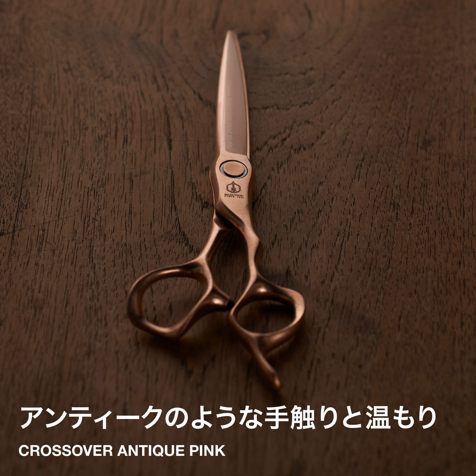 特集 春のカット応援フェア 2025 | ミズタニシザーズ