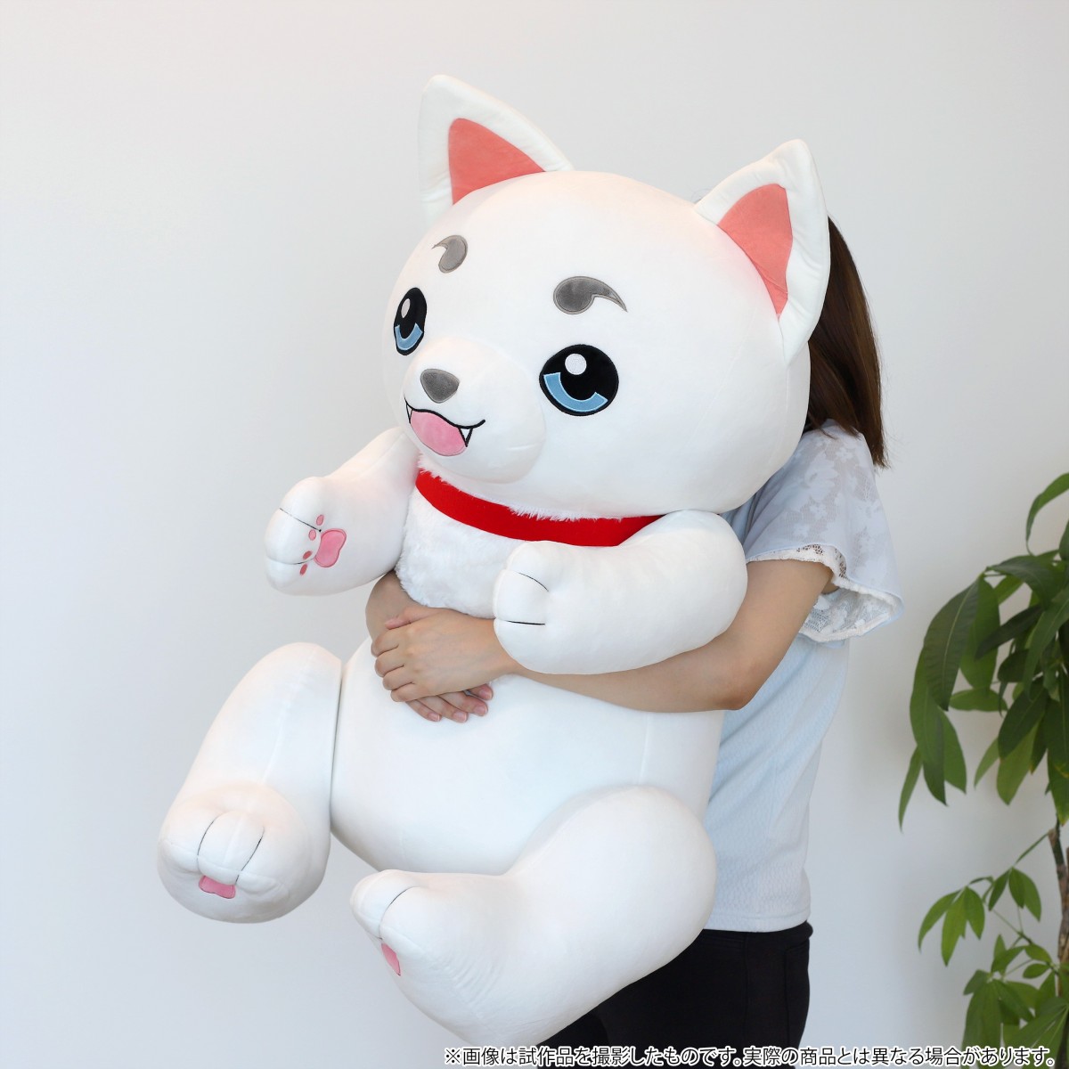 銀魂 ぬいぐるみ 神威 ビッグサイズ 202307202257 神威 銀魂」検索結果