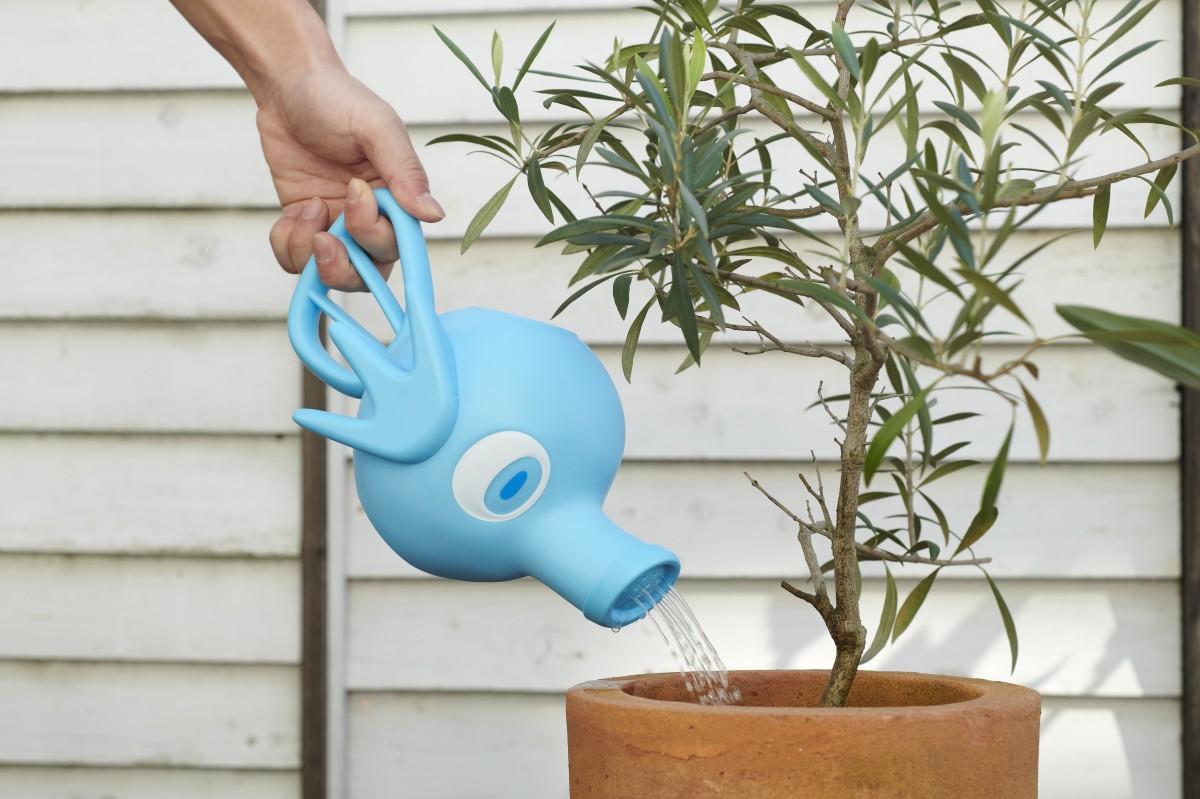 マダツボミのLEDライト