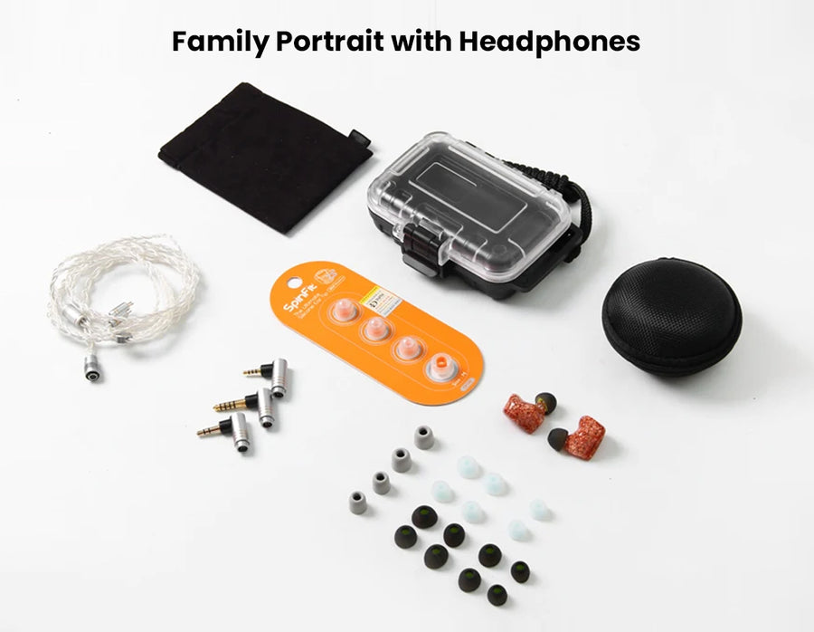 Sound Rhyme DTE500 2EST+ 2BA + 1 DD Hybrid IEM | Concept Kart