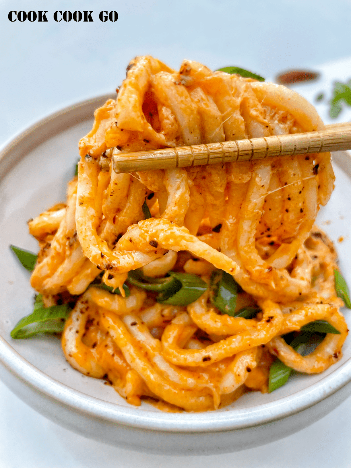 Double Cheesy and Spicy Udon Noodles - COOK COOK GO