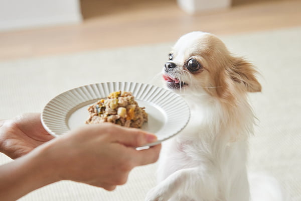 ココグルメ 45個 【鹿3 魚4 鶏23 豚15】 商品一覧 | 【獣医師監修