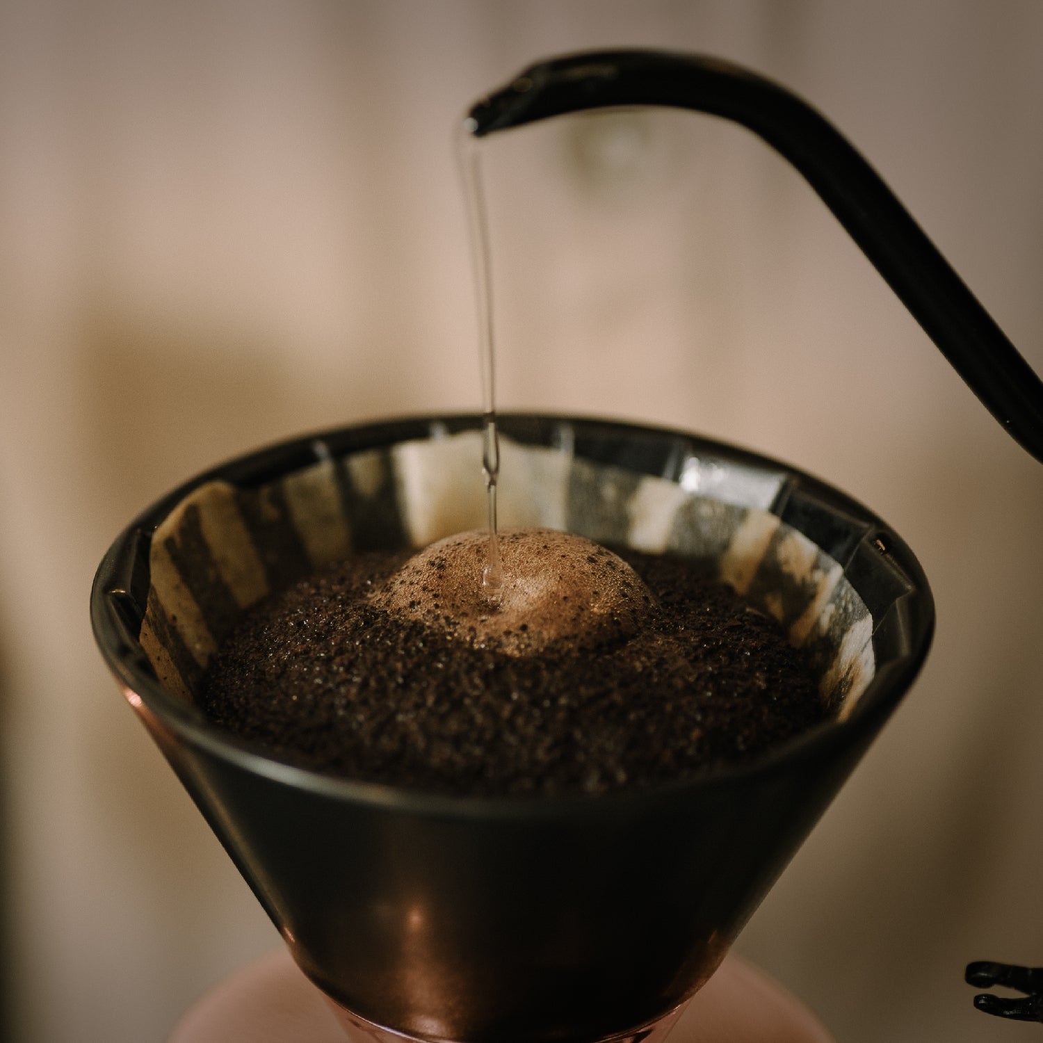 超高級・超希少】ナポレオン セントヘレナ島 バンブーヘッジ農園