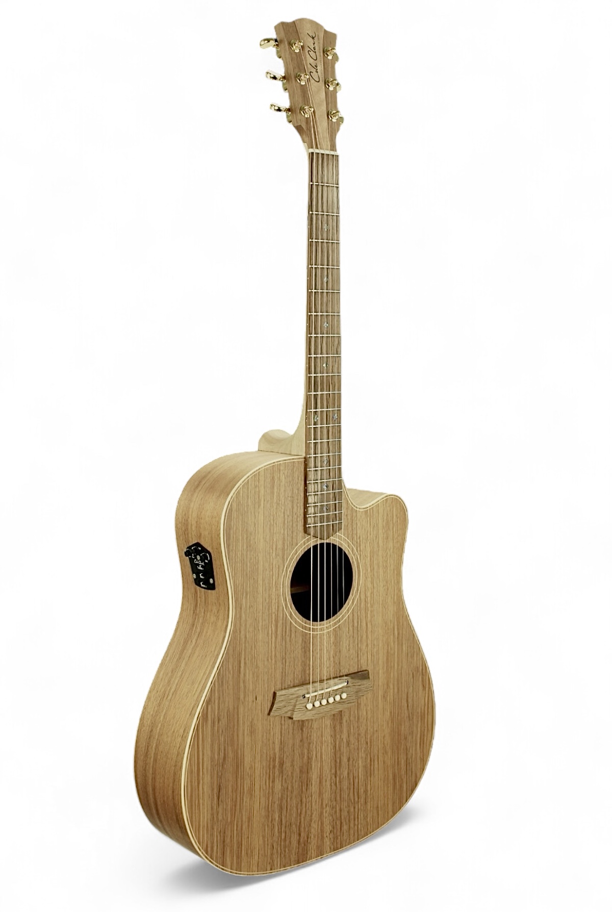 Cole Clark FL2AC コールクラーク エレアコ