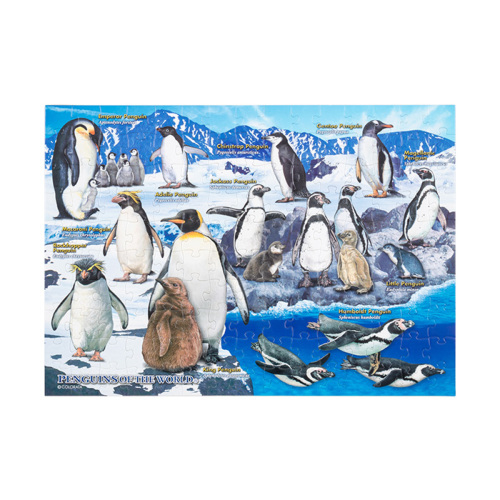 吉田遠志 ゼントウペンギン 1000ピース ジクソーパズル 吉田遠志 ゼン