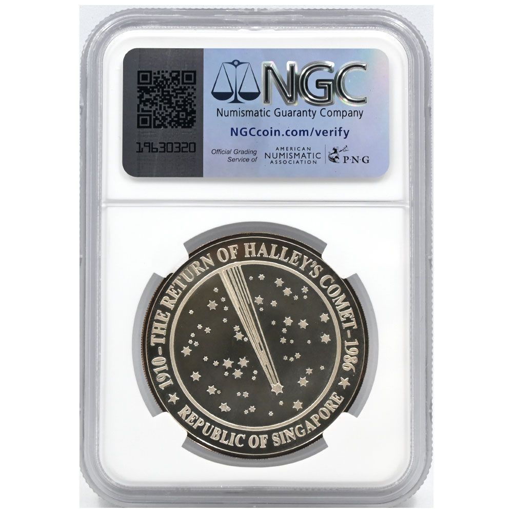 希少】パイレーツ・オブ・カリビアン 純銀製メダル 約113g パイレーツ