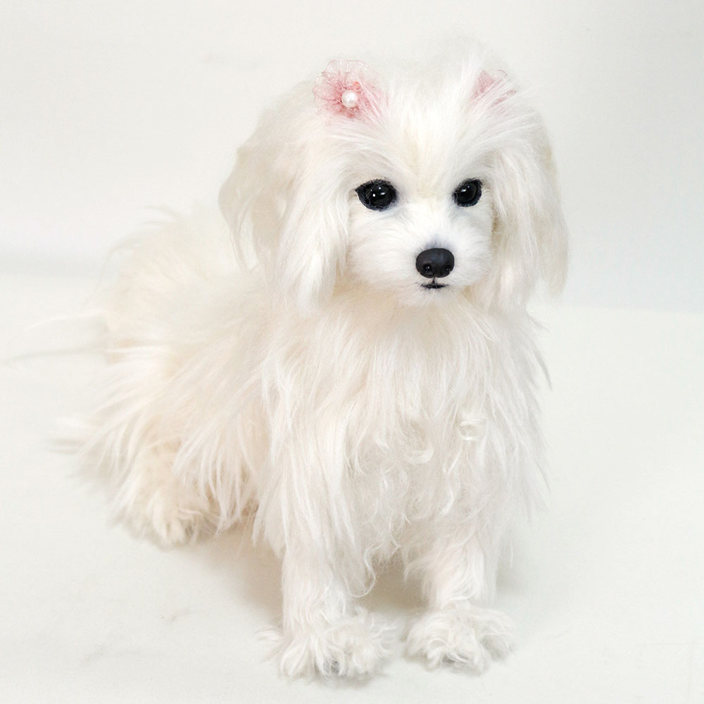 230808 みるくちゃん マルチーズ - 【公式】ぬいぐるみのオーダー