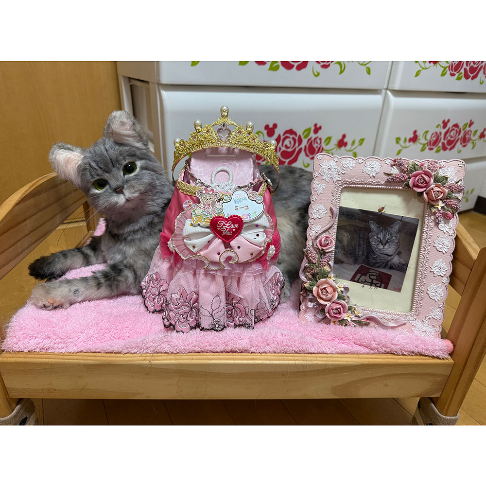 まなあきちゃん❤オーダー❤ウンピョウベビー♡アートドール