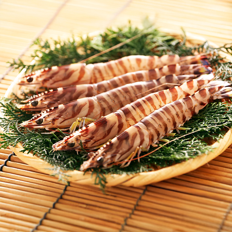 11月30日まで開催【ブラックフライデーセール】JAL JTAセールス