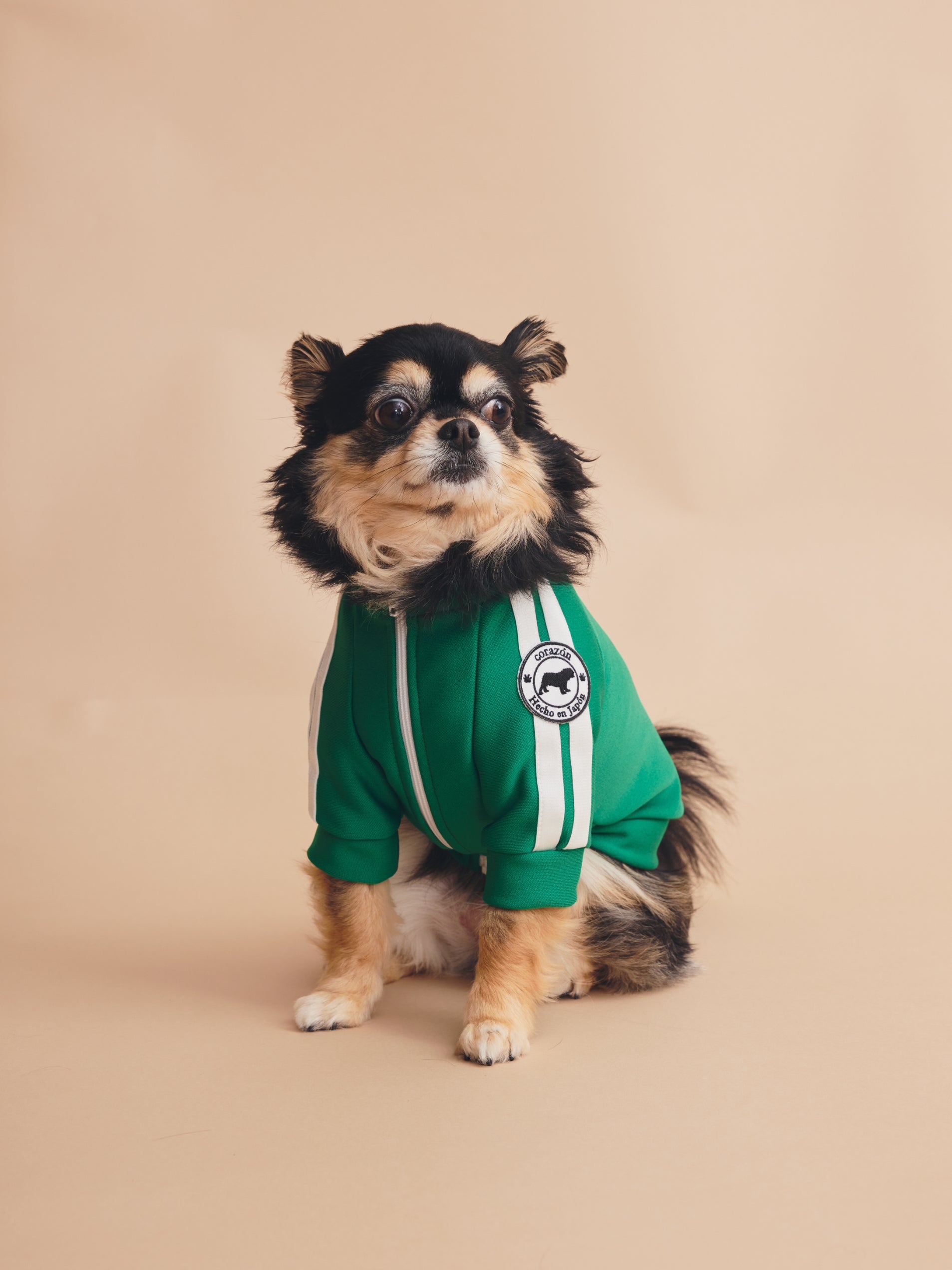 ペット服ならcorazón（コラソン）/【緑】ジャージ – ペット服【corazón