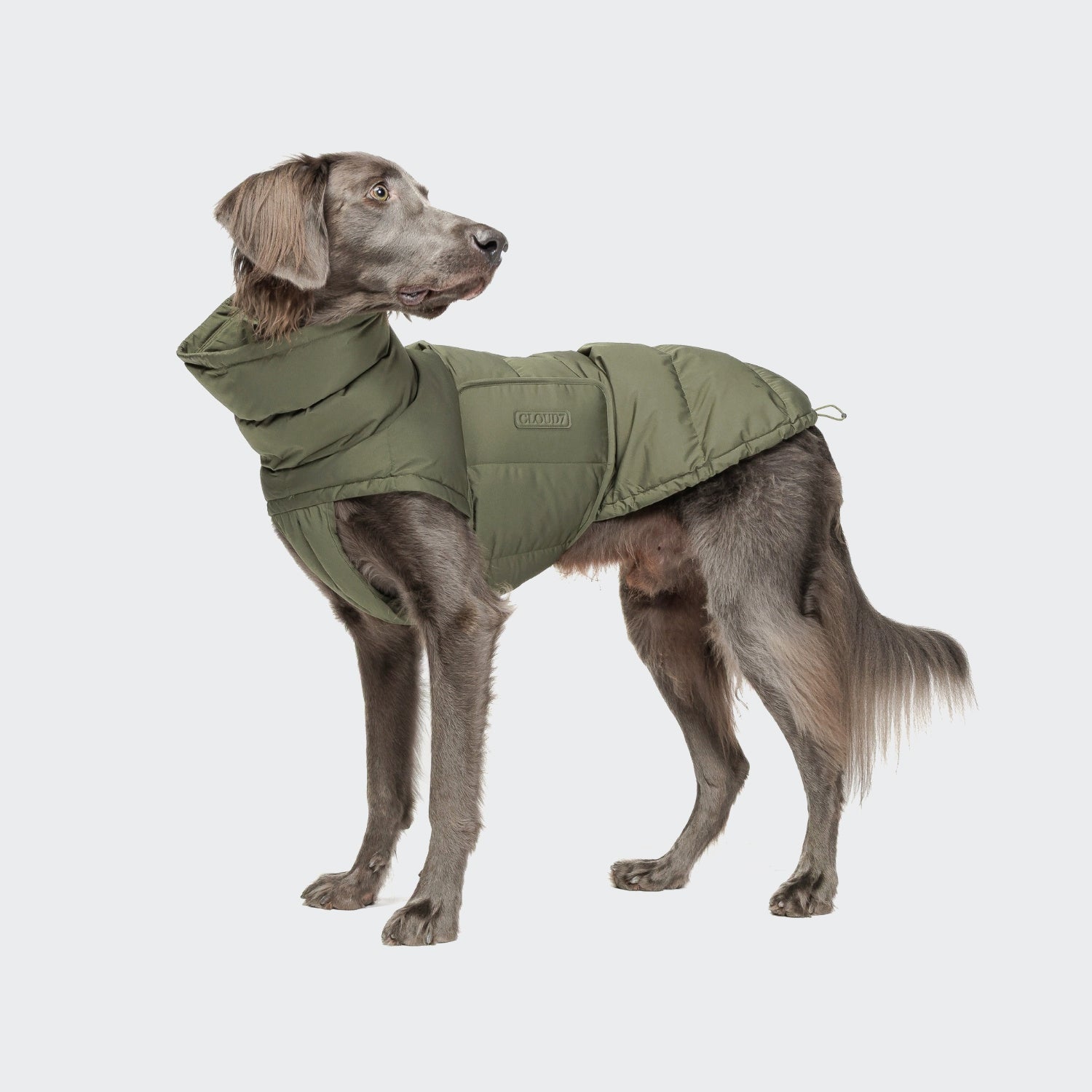 Hundemantel Alaska Light Olive | CLOUD7