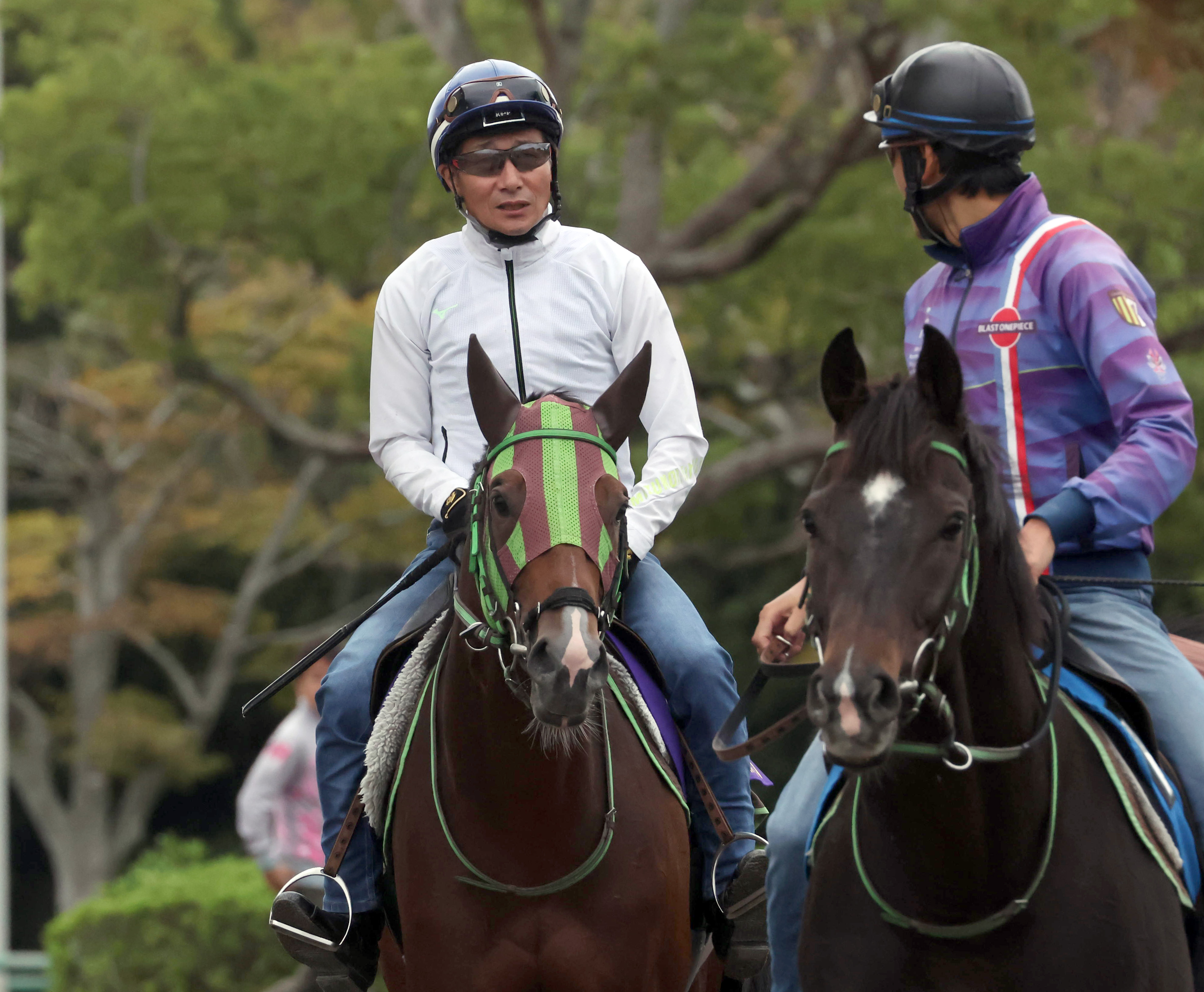 鷹*様 競馬必勝法本『覇王』 鷹*様 競馬必勝法本『覇王』 Amazon.co.jp