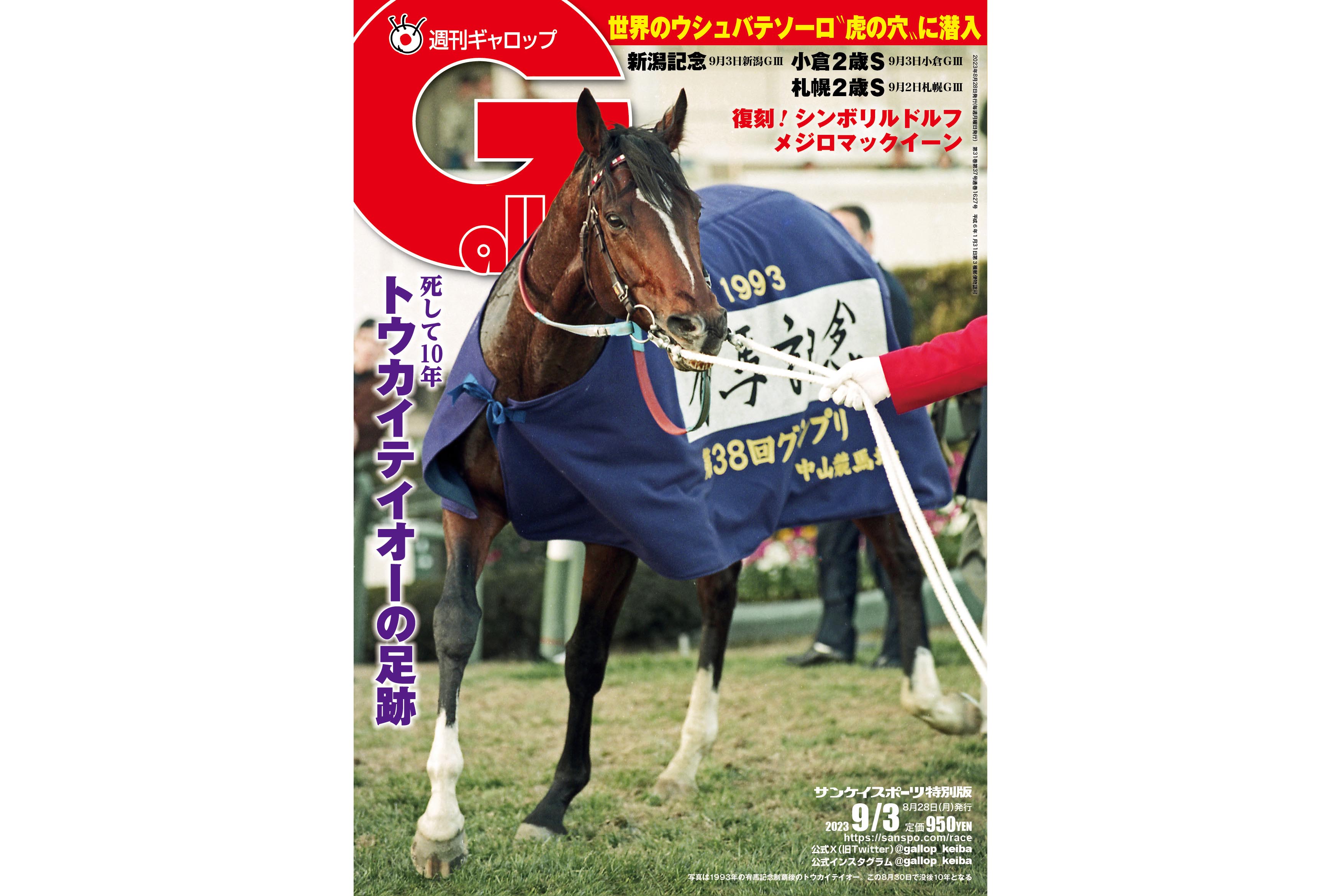 競馬 トーカイテイオー トウカイテイオー伝説］伝説の第二章＝古馬初戦