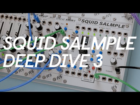 ALM Busy Squid Salmple— Clockface Modular