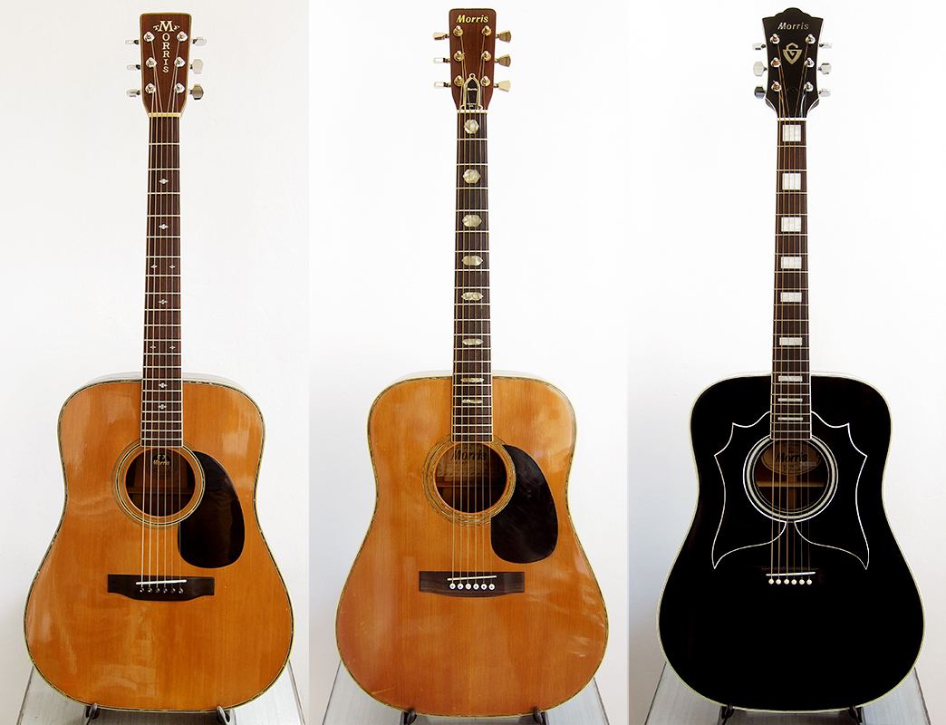 Morris W-50 アコースティックギター 【公式通販】