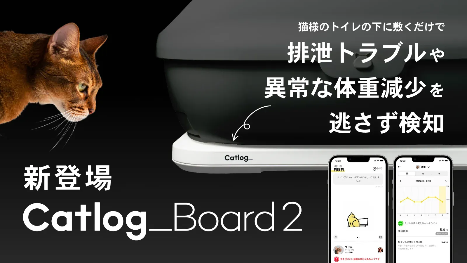 猫様の排泄トラブルや異常な体重変化をAIが検知する『Catlog Board』の