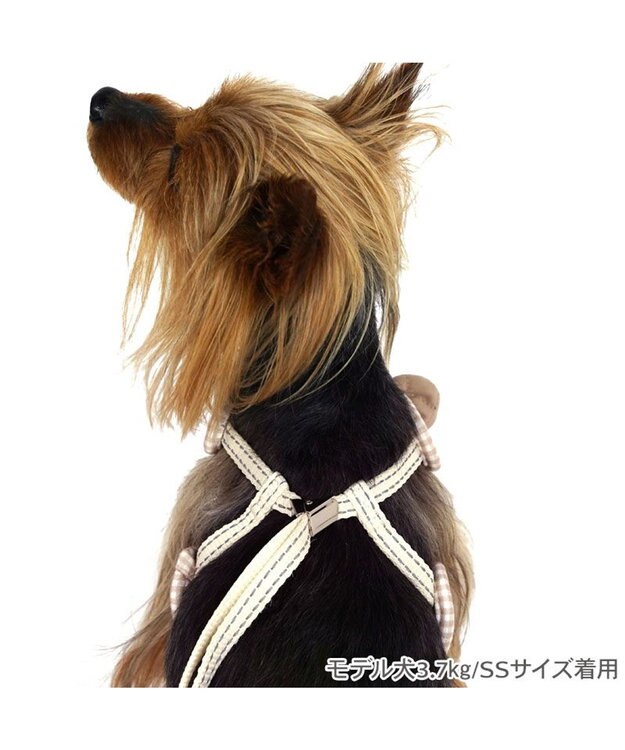ペットパラダイス くまちゃん 顔 リード付きハーネス 4S/3S 小型犬