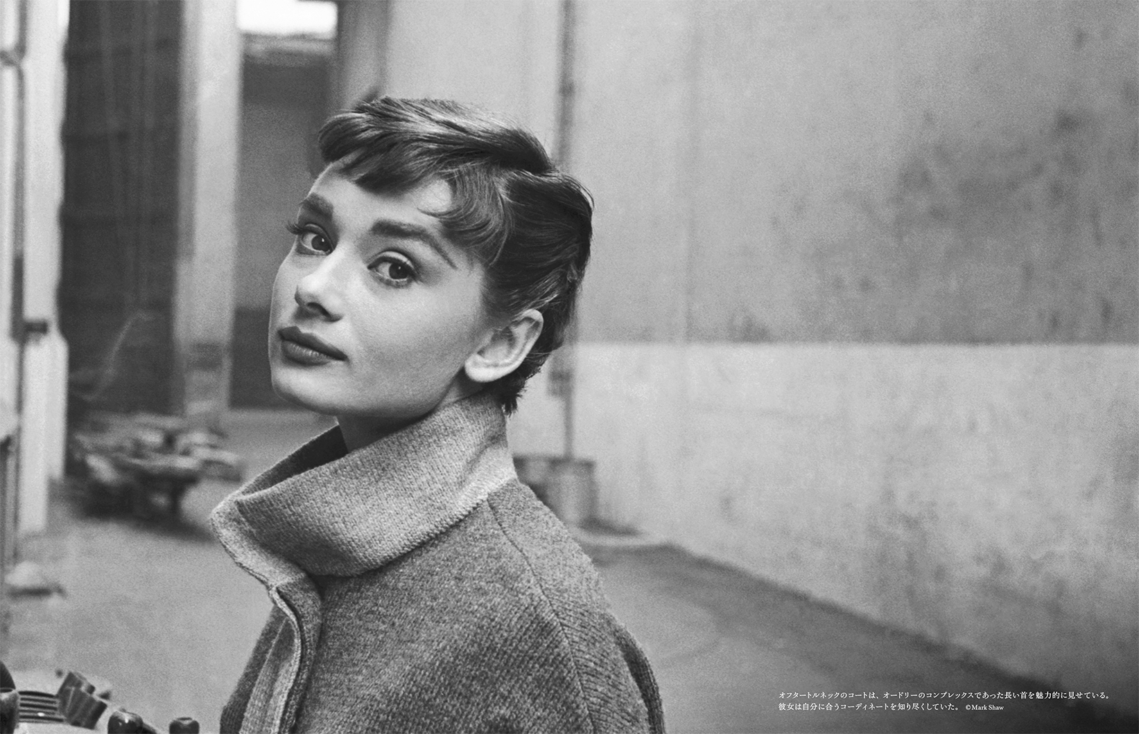 写真集『AUDREY HEPBURN オードリー・ヘプバーン』 | 株式会社クレヴィス