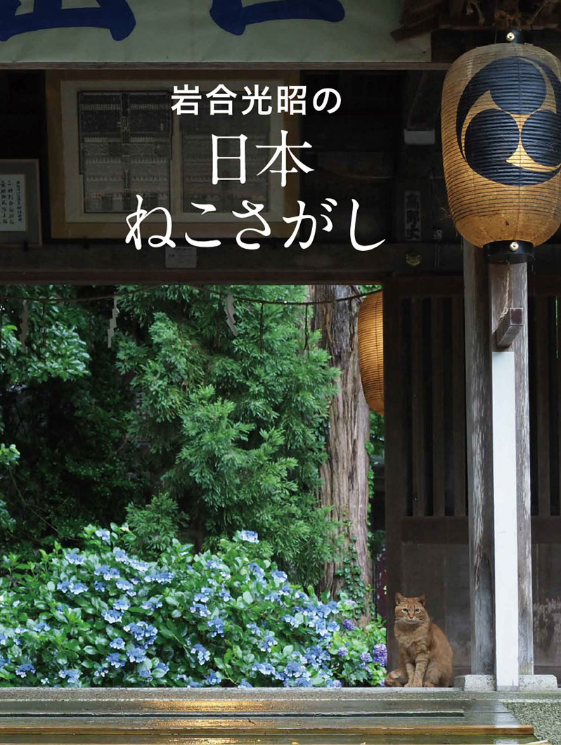 岩合光昭 クジラ 写真パネル シリアルナンバー入り 岩合光昭