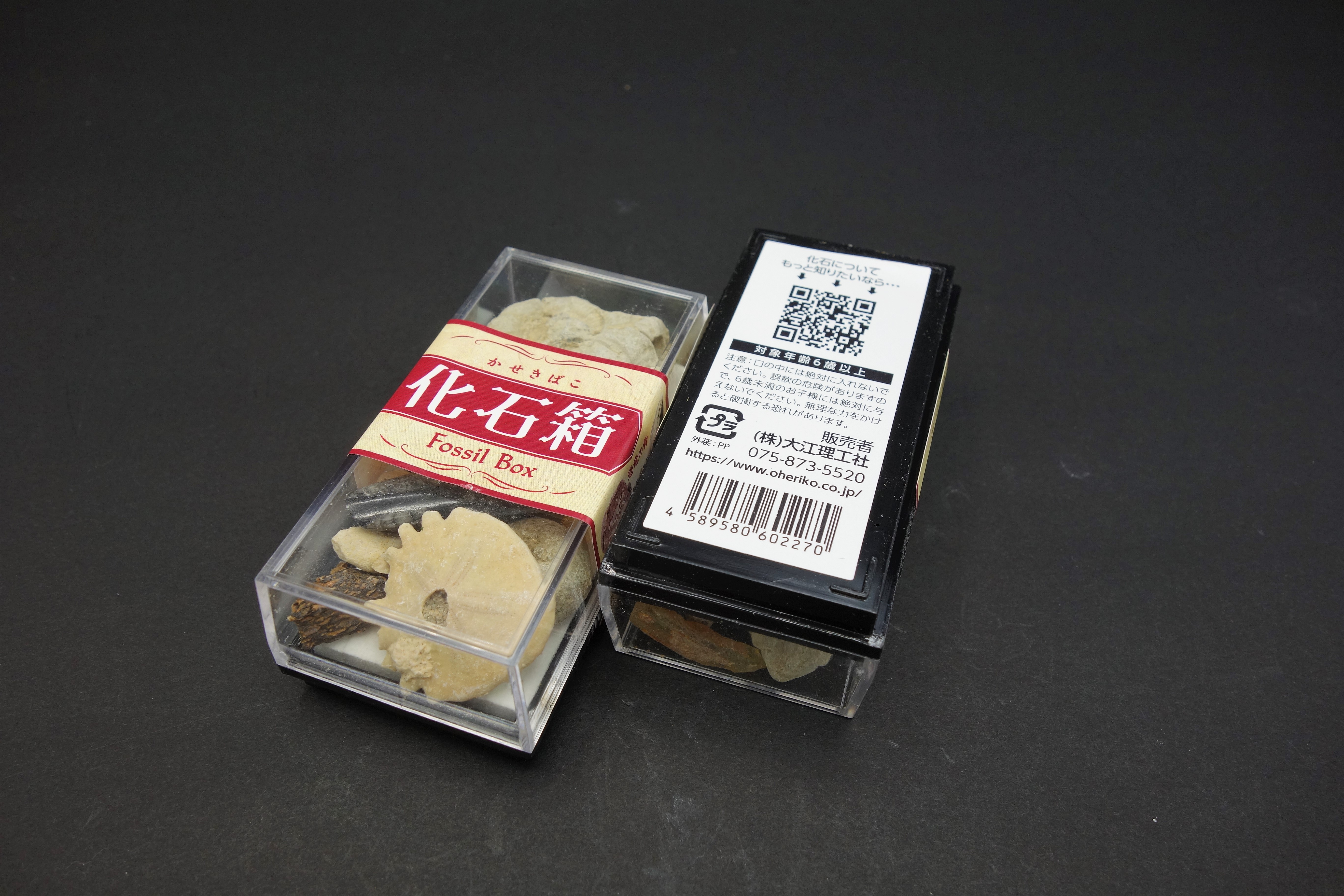 大江理工社 ブック型標本セット 「化石箱」 - クリスタルポケット