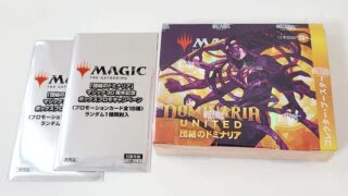 MTG】団結のドミナリア「コレクターブースターBOX」セラ天とロスト